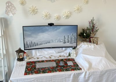 Snowy Scene